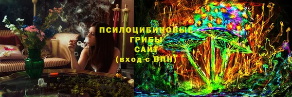 2c-b Богородицк