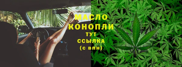 2c-b Богородицк